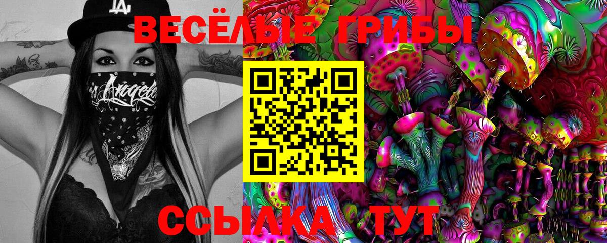 Галлюциногенные грибы Psilocybe  Вход с VPN  Верхняя Пышма 