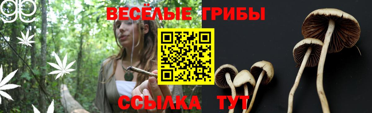 Кодеин  Верхняя Пышма  Мефедрон   Вход с VPN  Каннабис  Гашиш  Cocaine 